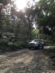 Ford Everest