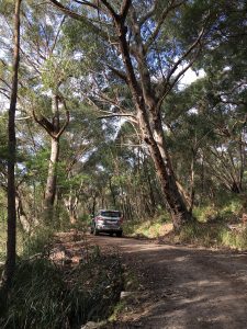 Ford Everest